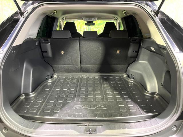ＲＡＶ４ Ｘ　純正９型ナビ　バックカメラ　レーダークルーズコントロール　ブラインドスポットモニター　ＥＴＣ　禁煙　ステアリングスイッチ　ＬＥＤヘッドライト　１８インチＡＷ　ＨＤＭＩ　オートブレーキホールド（47枚目）