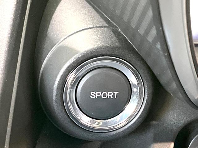 Ｓ６６０ α　ディスプレイオーディオ　クルーズコントロール　ドラレコ　パドルシフト　ＥＴＣ　ステアリングスイッチ　禁煙　ハーフレザーシート　ＬＥＤヘッドライト　１６インチＡＷ　スマートキー　ＨＤＭＩ　オートライト（30枚目）