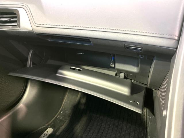 Ｓ６６０ α　ディスプレイオーディオ　クルーズコントロール　ドラレコ　パドルシフト　ＥＴＣ　ステアリングスイッチ　禁煙　ハーフレザーシート　ＬＥＤヘッドライト　１６インチＡＷ　スマートキー　ＨＤＭＩ　オートライト（36枚目）