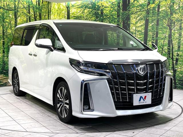 アルファード ２．５Ｓ　Ｃパッケージ　ＢＩＧ－Ｘ１０型ナビ　バックカメラ　シートベンチレーション　パワーバックドア　メモリー機能付パワーシート　両側電動スライドドア　禁煙　パワーバックドア　リアオートエアコン　ステアリングヒーター（65枚目）