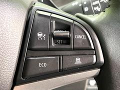 �ڥ����ץƥ��֥��롼������ȥ�����۹�®ƻϩ�Ǥ�Ĺ��Υ���Ԥ��ڤˡ�����ư��®�٤��ݤĥ��롼������ȥ����뤬�����ͷڸ������ƥ��Ϣ�Ȥ��������μ�ξ���Τ��Ƽִ֤��ݤĤ褦��®��Ĵ�ᤷ�Ƥ���ޤ����� 6