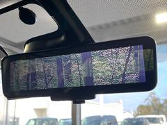 �ڥ���ƥꥸ����ȥ롼��ߥ顼�۸��ʤ��礭�ʲ�ʪ��Ʊ��ԤǸ�������ǧ���Ť餤���Ǥ�¿�������餬���Ƥ�����ξ�����α�����롼��ߥ顼���ɽ�������ꥢ�ʻ볦�Ǿ����γ�ǧ����ǽ�Ǥ��� 4