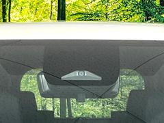 �ڥȥ西�����եƥ����󥹡�������������μ�ξ����ǧ���������ͤ������ʻ��Ϸ���ȥ֥졼���Ǿ��Ͳ�����ﳲ�ڸ��򥢥����ȡ��������˥ɥ饤�֤򤪳ڤ��ߤ��������ޤ��� 6