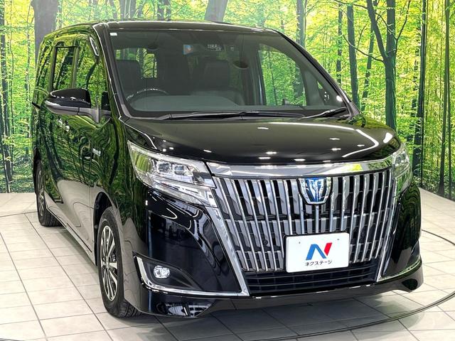 エスクァイア ハイブリッドＧｉ　純正１０型ナビ　フリップダウンモニター　バックカメラ　セーフティセンス　両側電動スライドドア　クルーズコントロール　前席シートヒーター　デジタルインナーミラー　ドライブレコーダー　ＥＴＣ　禁煙車（17枚目）