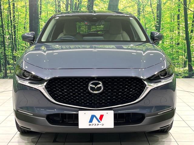 CX-30 20S プロアクティブ ツーリングセレクション 純正8.8型マツダコネクトナビ 全周囲カメラ 衝突被害軽減システム レーダークルーズ 禁煙車 電動リアゲート パワーシート ドラレコ スマートキー LEDヘッド ETC オートハイビーム 車線逸脱警報(64枚目)