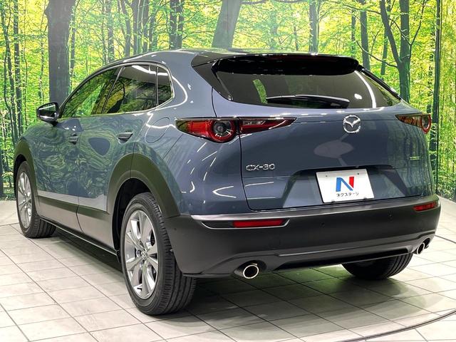 CX-30 20S プロアクティブ ツーリングセレクション 純正8.8型マツダコネクトナビ 全周囲カメラ 衝突被害軽減システム レーダークルーズ 禁煙車 電動リアゲート パワーシート ドラレコ スマートキー LEDヘッド ETC オートハイビーム 車線逸脱警報(67枚目)
