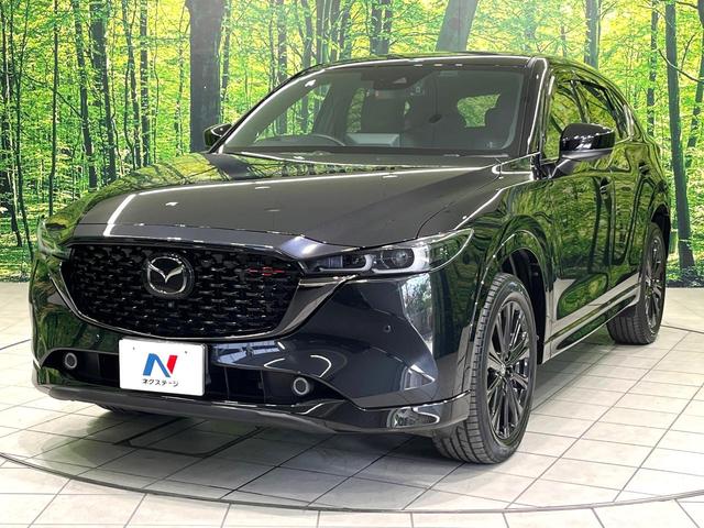 CX-5 25S スポーツアピアランス 10.25型マツダコネクトナビ 360°ビューモニター BOSEサウンド スマートブレーキサポート ブラインドスポットモニター パワーシート パワーバックドア リアシートヒーター 黒革シート 禁煙車(67枚目)