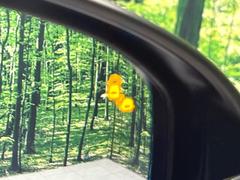 ڥ֥饤ɥݥåȥե᡼桢ɥߥ顼λѤˤʤ䤹ս˸³֤᤹ܶȥɥߥ顼ն˷ٹɽɥ饤Сմ򤷤Ƥޤ 7