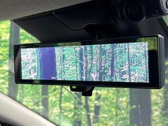 �ڥ���ƥꥸ����ȥ롼��ߥ顼�۸��ʤ��礭�ʲ�ʪ��Ʊ��ԤǸ�������ǧ���Ť餤���Ǥ�¿�������餬���Ƥ�����ξ�����α�����롼��ߥ顼���ɽ�������ꥢ�ʻ볦�Ǿ����γ�ǧ����ǽ�Ǥ��� 7