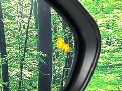 �ڥ֥饤��ɥ��ݥåȥ�˥����������桢�ɥ��ߥ顼�λ�Ѥˤʤ�䤹���ս�˸�³�֤��᤹ܶ��ȥ����ɥߥ顼�Υ�󥺤˷ٹ��ɽ�����ɥ饤�С������մ����򤷤Ƥ���ޤ��� 5