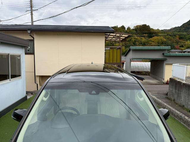 ヴェルファイア 2.5X 衝突軽減ブレーキ/ナビ/バックカメラ/スマートキー 衝突軽減ブレーキ/純正ナビ/バックカメラ/スマートキー/クルーズコントロール/左側パワースライド/純正16アルミ/デジタルインナーミラー/LEDライト/フォグランプ/ETC/障害物センサー/3列シート(29枚目)