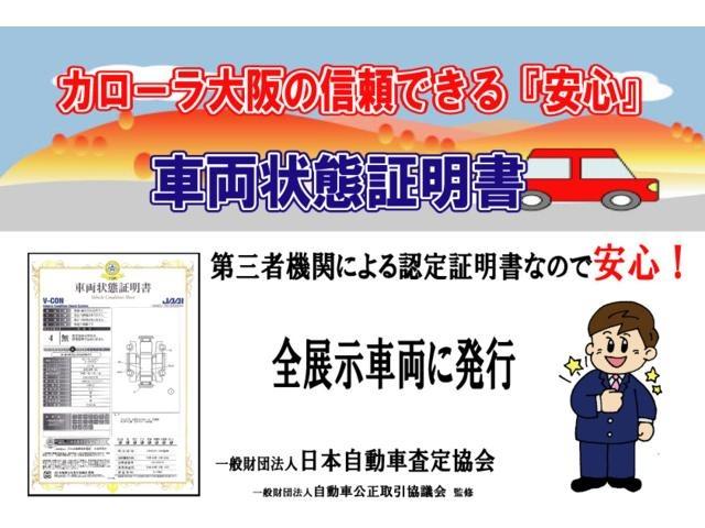 FXリミテッド ETC ワンオーナー フルエアロ(40枚目)