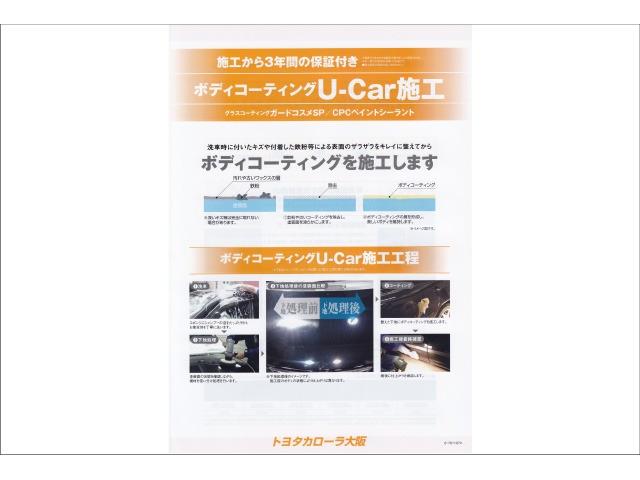 クロスオーバー フルセグ メモリーナビ DVD再生 ミュージックプレイヤー接続可 バックカメラ 衝突被害軽減システム ETC ワンオーナー アイドリングストップ(48枚目)
