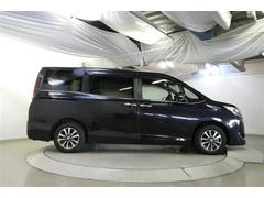 ɥᡦãУäʤɥܥǥƥ󥰤谷ƤޤŹˤǤ 5