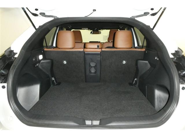 �L���g�����N�X�y�|�X���m�ۂł��܂��􂽂����񂨔����������Ă����v�I�Ƒ��݂�Ȃ̏Ί炪���������ł��ˁi�O�@�O�j�^