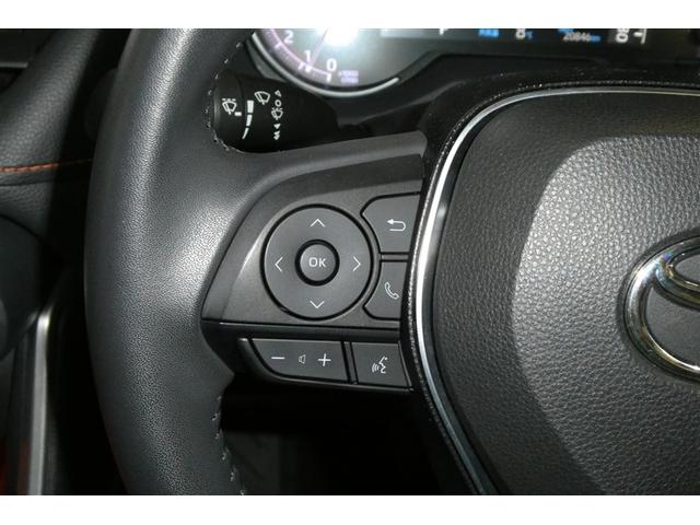 ＲＡＶ４ アドベンチャー　元試乗車　リヤカメラ　アルミ　クルーズＣ　カーナビ　ＬＥＤライト　イモビ　ＥＳＣ　スマキー　ＰＳ　ＥＴＣ付き　エアコン　４ＷＤ車　電動パワーシート　パワーウインドウ　サイドエアバッグ　ＡＢＳ　キーレス（22枚目）