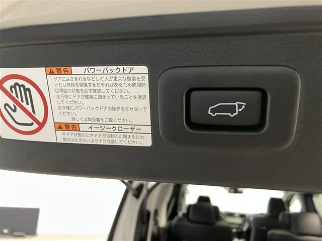 アルファード 2.5S Cパッケージ DVD再生機能 両側PSD 電動パワーシート バックモニタ- 地デジTV ナビ&TV アルミホイール 横滑り防止機能 クルコン LEDヘッドライト スマキー エアロ リアオートエアコン セキュリティ(10枚目)