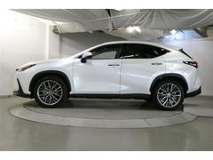 �Σ� �Σأ������衡�С������̡��ѥΥ�ޥࡼ��롼�ա��ץ����ȡ��Хå������ 0701231A20251210T002 3