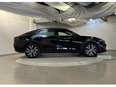 ���饦�󥯥��������С� �ǥ��ɥХ󥹥ɡ����ޥ������̣ţĥ��ס����ã������֡��ϥǥ��ԣ� 0701231A20260201T002 5