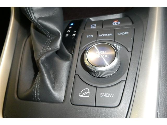RAV4 G Zパッケージ 寒冷地仕様車 インテリジェントクリアランスソナー AWD LEDライト アルミホイル オートクルーズ 横滑り防止装置 バックガイドモニター 盗難防止装置 デュアルエアバッグ メモリナビ キーレス(33枚目)