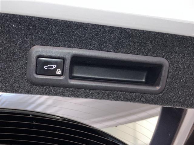 ＲＸ ＲＸ４５０ｈ　Ｆスポーツ　レザー　ナビＴＶ　ＡＷ　アクティブクルーズコントロール　フルタイム４ＷＤ　ＰＷシート　フルセグ地デジＴＶ　１００Ｖ　ＡＢＳ　ＥＴＣ車載器　パワステ　ＬＥＤヘッド　横滑り防止機能　オートエアコン（16枚目）