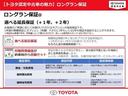 Ｚ　レザーパッケージ　スマキ　追突防止　フルセグテレビ　バックモニター　ドラレコ付　本革シート　アルミ　横滑り防止機能　Ｐシート　オートクルーズコントロール　ＡＵＸ　ＬＥＤヘッドライト　盗難防止システム　エアコン　キーレス（67枚目）