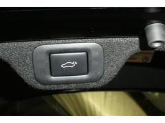 ���饦�󥯥��������С� �ңӥ��ɥХ󥹥ɡ����Ͳ��򡡥����ݥա������ȥ��롼������ȥ����롡������ɻ� 0701232A20251120T002 4