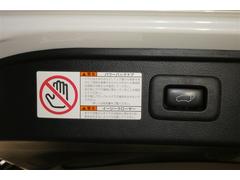 ����ե����ɥϥ��֥�å� �ӣҡ��åѥå��������ܳץ����ȡ��Хå���˥����������ȥ������� 0701232A20260116T002 6