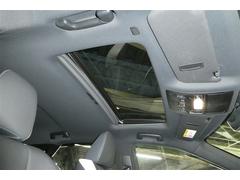 �ң� �ңأ������衡�ƥ��ݡ��ġ�����ݥʥӡ��ѥΥ�ޥ��饹�롼�ա������ȥ������� 0701232A20260118T002 2