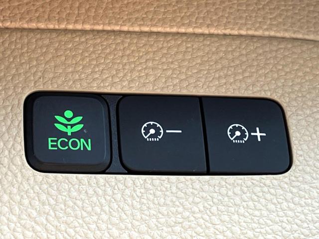 N-BOX G・Lホンダセンシング 電動スライドドア バックカメラ 衝突被害軽減システム レーダークルーズ 禁煙車 スマートキー LEDヘッド ビルトインETC オートエアコン Bluetooth CD DVD再生 地デジ(40枚目)