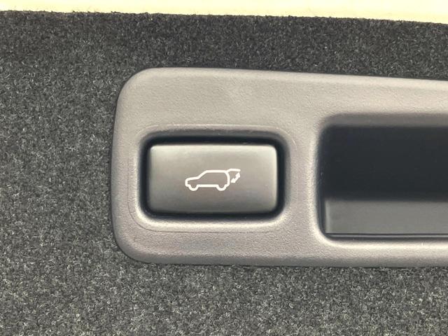 ハリアー プレミアム　アドバンスドパッケージ　サンルーフ　メーカーナビ　全周囲カメラ　ＪＢＬサウンド　衝突軽減装置　ＥＴＣ　パワーリアゲート　プッシュスタート　純正アルミ　パワーシート（29枚目）