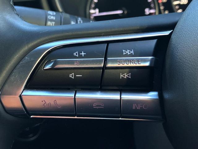 ＣＸ－３０ ＸＤ　プロアクティブ　軽油　マツダコネクトナビ　全周囲カメラ　衝突軽減装置　パワーバックドア　ＢＳＭ　ＥＴＣ　プッシュスタート　純正アルミ（32枚目）