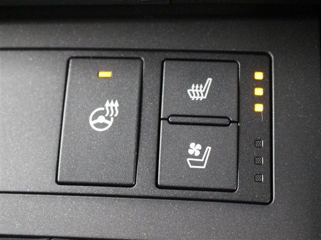 IS IS300 Fスポーツ 革シート サンルーフ フルセグ メモリーナビ DVD再生 ミュージックプレイヤー接続可 バックカメラ 衝突被害軽減システム ETC ドラレコ LEDヘッドランプ アイドリングストップ(9枚目)