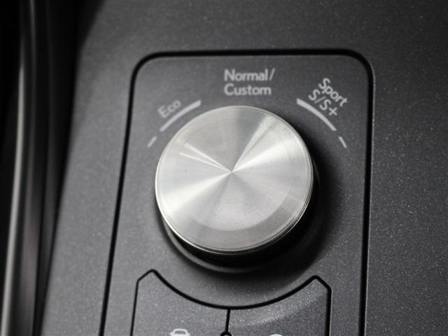 IS IS300 Fスポーツ 革シート サンルーフ フルセグ メモリーナビ DVD再生 ミュージックプレイヤー接続可 バックカメラ 衝突被害軽減システム ETC ドラレコ LEDヘッドランプ アイドリングストップ(21枚目)