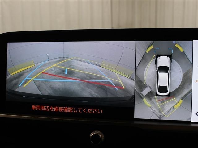 �p�m���~�b�N�r���[���j�^�[�ł��B