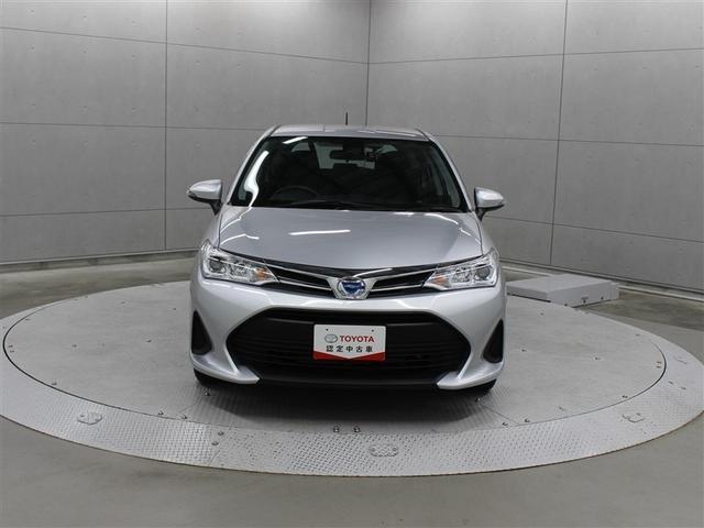 �J���[���t�B�[���_�[�g�u�@�d�w�@�ł��B