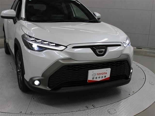 �t�����g���