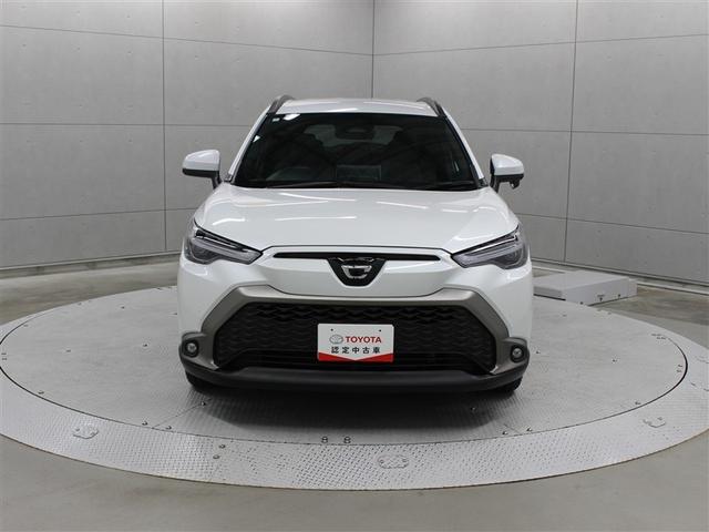 �t�����g���