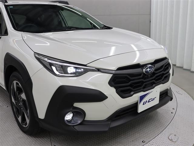 �t�����g���ł��B