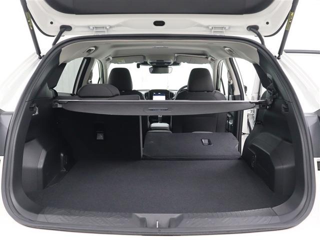 �|���V�[�g�ł��B