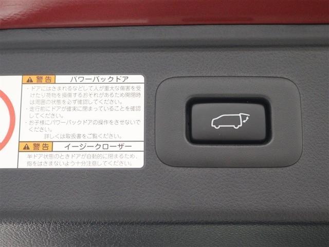 アルファード ２．５Ｓ　Ｃパッケージ　フルセグ　メモリーナビ　ＤＶＤ再生　後席モニター　バックカメラ　衝突被害軽減システム　ＥＴＣ　両側電動スライド　ＬＥＤヘッドランプ　乗車定員７人　３列シート　ワンオーナー（19枚目）