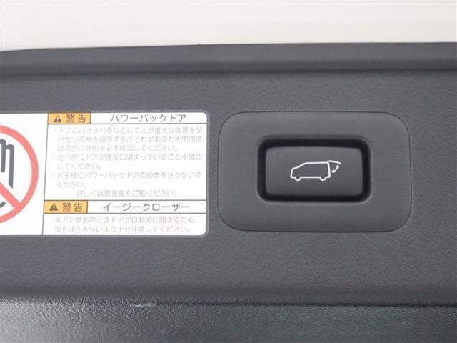 アルファード ２．５Ｓ　Ｃパッケージ　サンルーフ　フルセグ　ＤＶＤ再生　ミュージックプレイヤー接続可　後席モニター　バックカメラ　衝突被害軽減システム　ＥＴＣ　両側電動スライド　ＬＥＤヘッドランプ　乗車定員７人　３列シート（22枚目）