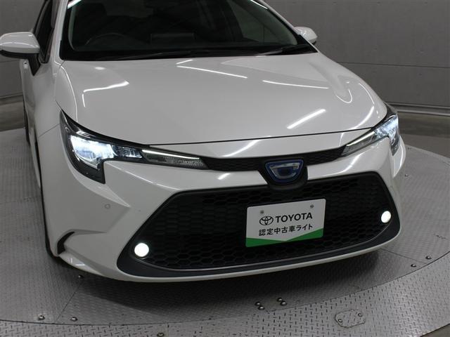 �t�����g���ł��B