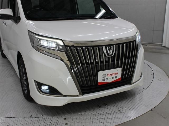 �t�����g���ł��B