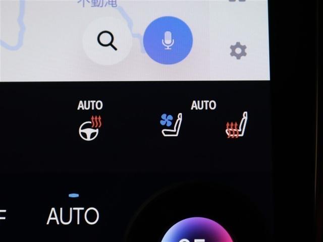 ヴェルファイアハイブリッド Z プレミア 革シート サンルーフ 4WD フルセグ メモリーナビ ミュージックプレイヤー接続可 後席モニター バックカメラ 衝突被害軽減システム ETC 両側電動スライド LEDヘッドランプ 乗車定員7人(11枚目)