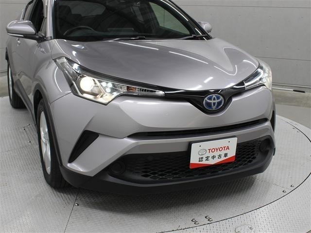 �t�����g���ł��B