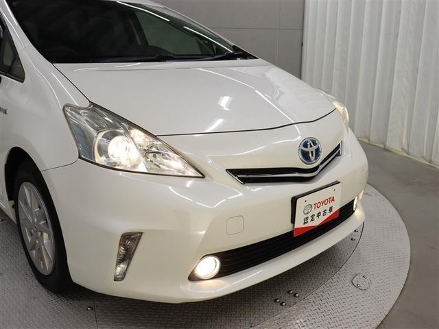 �t�����g���ł��B