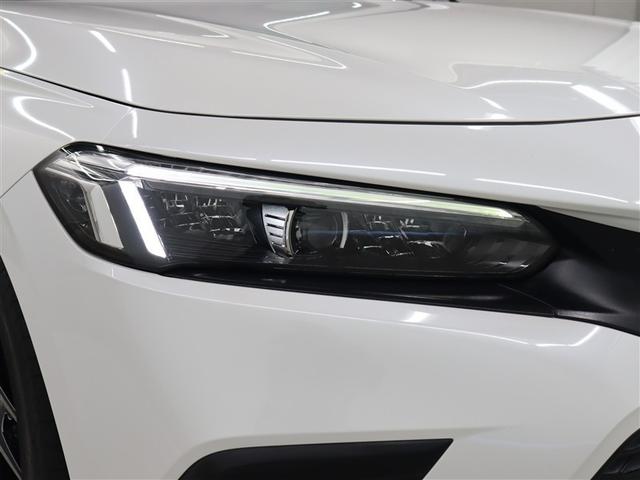 �t�����g���