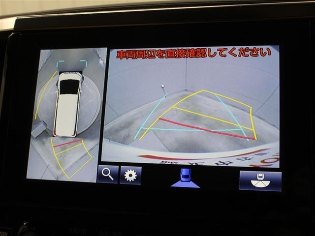 �p�m���~�b�N�r���[���j�^�[���o�b�N�J�����ɐ؂�ւ�����Ԃł��B