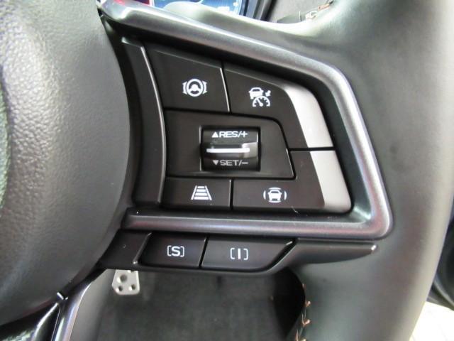 レヴォーグ レイバック リミテッドEX ナビTV クルーズコントロール AWD バックカメラ スマートキー 本革シート ETC メモリーナビ アルミホイール フルオートエアコン 地デジフルセグ 横滑り防止装置 盗難防止装置 1オーナー車(13枚目)